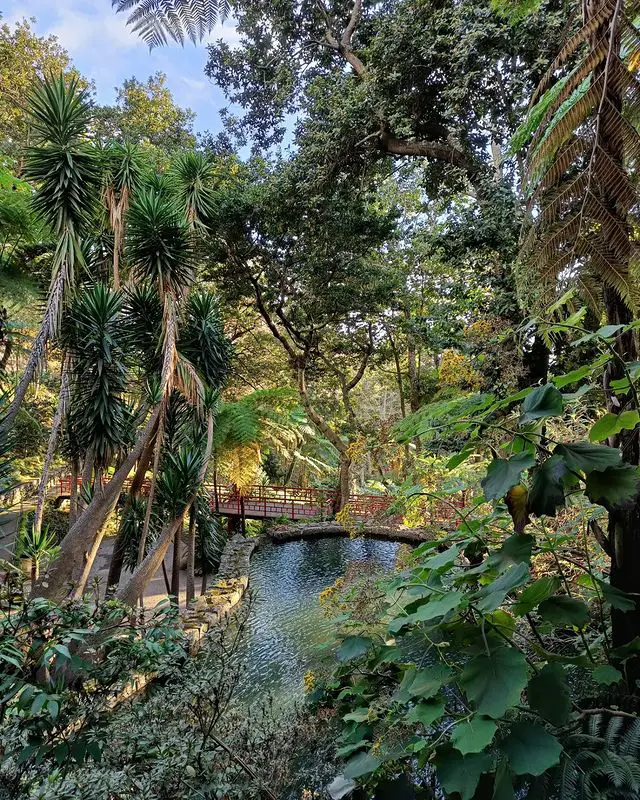 Botanial Garden, Madeira