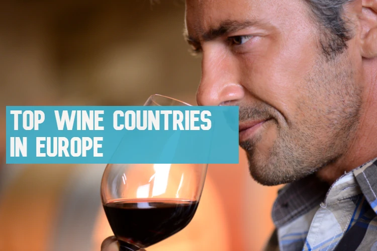 wine-lovers-rejoice-the-top-wine-producing-countries-in-europe