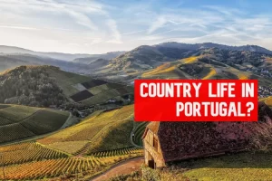 country-life-in-portugal