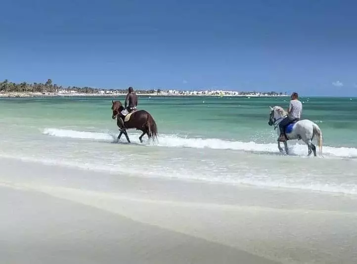 Djerba horse riding