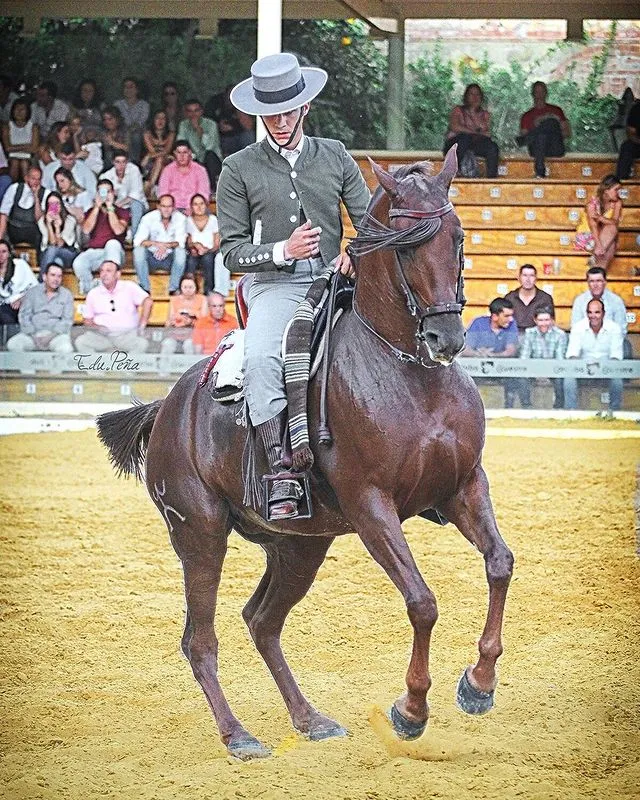Royal Andalusian School of Equestrian