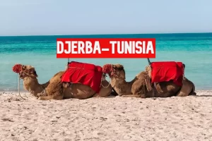 Visit djerba, tunisia